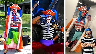 Buggy The Clown Live Action Compilation  One Piece  Anime  Buggy The Clown Cosplay [upl. by Rola]