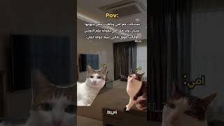 music song pop lyrics cover اكسبلور دويتو fypシ゚viral ترند boybandfandom jennie apt [upl. by Ruel]