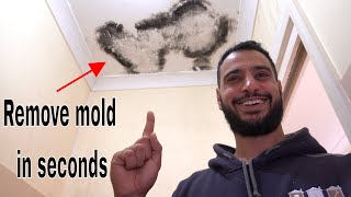 How to remove and kill mold  mould [upl. by Yleve]