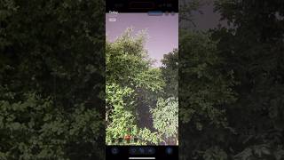 iPhone 16 Pro Max Night Mode Camra Test 🤯 camratest viralshorts [upl. by Woodley]