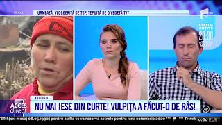 Tatăl Vulpiței și Viorel discuție aprinsă „Este mincinos și puturos” [upl. by Lajet337]