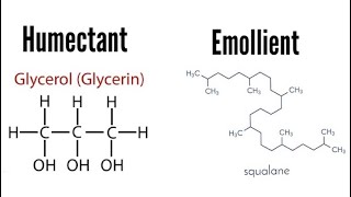 Humectants and Emollients  Know Your Ingredients [upl. by Nerfe400]