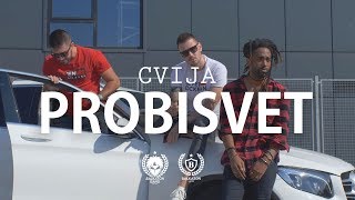 CVIJA  PROBISVET OFFICIAL VIDEO [upl. by Yentnuoc867]