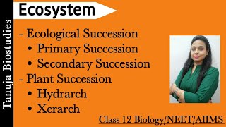 Ecosystem Ecological Succession  Primary Succession Secondary Succession  Hydrach Xerarch NEET [upl. by Maleki]