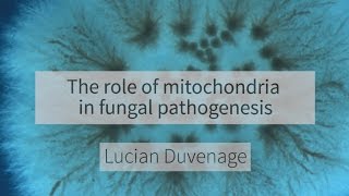 The role of mitochondria in fungal pathogenesis [upl. by Ranip]