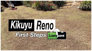 Kikuyu Reno Dethatch and Low Mow [upl. by Capp]