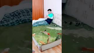 amazingb bedsheet amazing factsinhindi knowledge trendingshorts amazingfacts [upl. by Timus612]