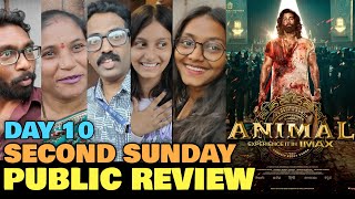 Animal Day 10 Public Review  Second Sunday  Tenth Day Public Response  Ranbir Kapoor Bobby Deol [upl. by Eiuol]