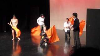 Macleans College Flag Dance 2009 [upl. by Haswell404]