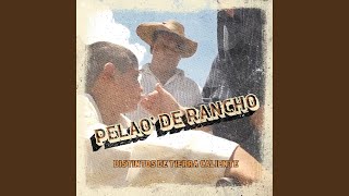 Pelao De Rancho [upl. by Aerdna]