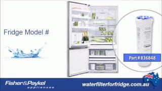 FISHER AND PAYKEL 836848 GENUINE FRIDGE WATER FILTER FITS THE FOLLOWING FISHERampPAYKEL FRIDGES 03 [upl. by Outhe]