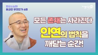 모든 존재는 사라진다 인연의 법칙을 깨닫는 순간  법상스님의 불교란 무엇인가 6회 종교 괴로움 인간 성장 가르침 죽음 소멸 진리 이야기 중도 부처 [upl. by Lhary]