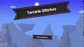 Terraria Glitches [upl. by Ulland]