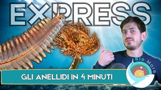 ANELLIDI UN ALTRO GRANDE GRUPPO DI VERMI MARINI IN 4 MINUTI  BIOMARE EXPRESS  SUB H2O [upl. by Ilario]