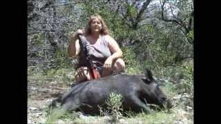 Crossbow Hunting a Big Old Smart Boar [upl. by Mistrot]