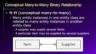 Database Lesson 4 of 8  Data Modeling and the ER Model [upl. by Suoirtemed21]