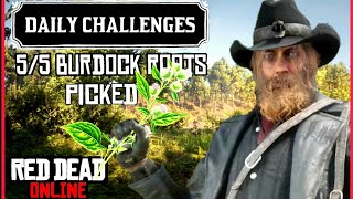 Daily Challenges  55 Burdock Roots Picked I RDR2 Online Burdock Roots Location [upl. by Genna]