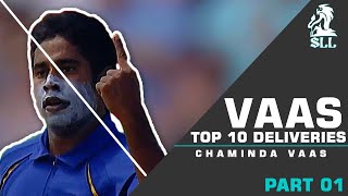 Chaminda Vaas Top 10 Delivers  you must watch [upl. by Gallenz591]