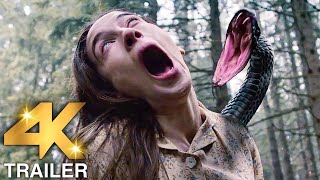 NEW MOVIE TRAILERS 2024 Horror  4K ULTRA HD [upl. by Ysdnyl774]