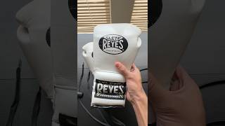 My Custom Boxing Gloves [upl. by Adnoved]