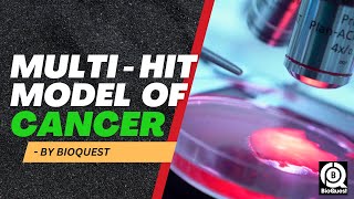 Multi Hit Model of Cancer  CSIR NET Dec 2024  Oncology  Basics to Advanced [upl. by Layod]