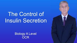 A Level Biology Revision Year 13 quotThe Control of Insulin Secretionquot [upl. by Wadell]