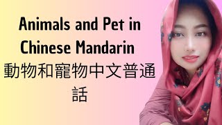 Learn Animals and Pet in Chinese Mandarin  Chinese Vocabulary Builder Series  Vocab Lesson [upl. by Sivrup]