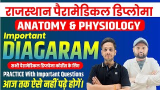 RPMC First Year Exam All Anatomy amp Physiology With Diagrams amp Model Paper In One Shot Class  rpmc [upl. by Nirmak]