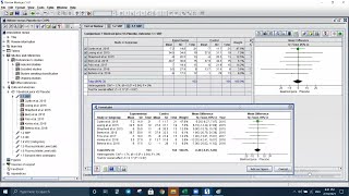 Meta analysis via RevMan Part 2 [upl. by Fredra]