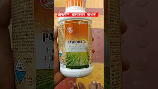 willowood patromax selective herbicide।Fenoxaproppethyl6Chlorimuron Ethyl09Imazethapyr 10sl [upl. by Hellman]