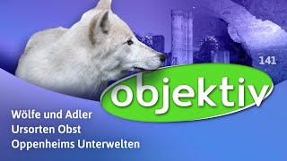 objektiv  Menschen Leben RheinlandPfalz 141 [upl. by Semaj]