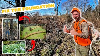 FOUNDATIONS To Improve Your Deer Hunting Property [upl. by Naomi932]