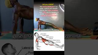 Amazing facts About reverse plank pose trythisathome reverseplankpose facts dailyimprovement [upl. by Gildea]