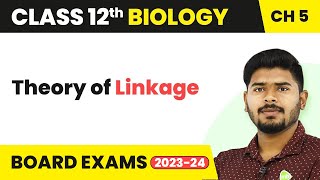 Class 12 Biology Chapter 5  Theory of Linkage  Principles of Inheritance and Variation 202223 [upl. by Thordia]