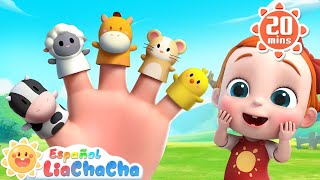 La Familia Dedo Versión Animales de Granja  LiaChaCha en Español  Canciones Infantiles [upl. by Aufmann]