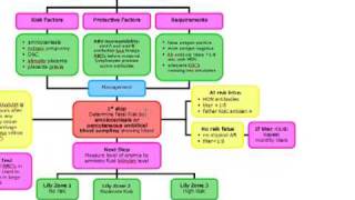 IsoimmunizationRh incompatability in the newborn [upl. by Yirinec]