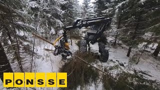 Thinning in the snowy forest  PONSSE Ergo HS16 [upl. by Ilajna131]