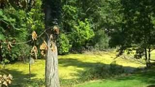 Tecumseh birthplace video tour [upl. by Clava]