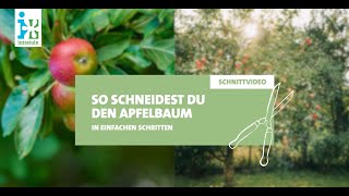 Intratuin  Apfelbaum schneiden [upl. by Nednerb692]