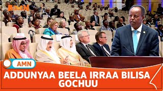 ADDUNYAA BEELA IRRAA BILISA GOCHUU [upl. by Alaaj]