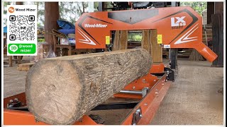 เครื่องเลื่อยตัดไม้วู๊ดไมเซอร์ LX50  Sawmill Wood Mizer LX50  ID LINE WoodMizer  T038 337838 [upl. by Hellman]