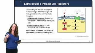 Cell Physiology Cell Signaling [upl. by Airitac]