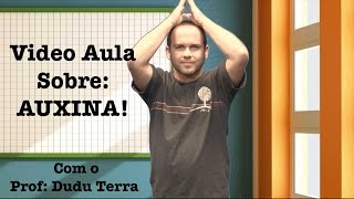 Video aula sobre Auxina [upl. by Ainezey]