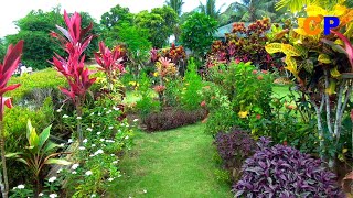 5 AMAZING HOUSE GARDEN AT ALMOST NO COST [upl. by Dulcinea935]