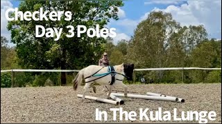 Checkers  Day 3 Poles in the Kula Lunge [upl. by Idnib]