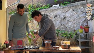 En Miquel Montoro coneix les formigues autòctones de les Balears  Uep IB3 [upl. by Silyhp]