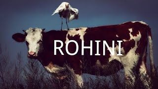 Rohini Nakshatra Characteristics in Tamil astrology [upl. by Studner155]