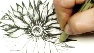 Pen amp Ink Drawing Tutorial How to Draw a Sunflower  Inktober [upl. by Harbard]