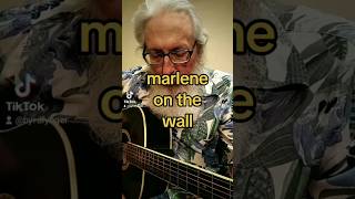 marlene on the wall suzannevega coversong byrdfynger shorts [upl. by Ahseral221]