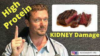 Does a High Protein Diet cause Kidney Disease WARNING Myth Alert [upl. by Monteith529]